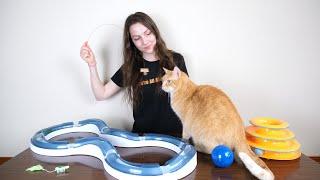 Top 5 Best Cat Toys We Tested Them All