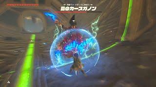 Defeating two Thunderblights at once using ONLY ONE POT LID as a shield  Legend of Zelda BotW