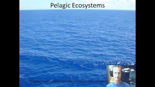 Marine Ecology Lecture Pelagic Ecosystems