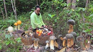 เก็บเห็ดวันนี้ดงเห็ดผึ้งข้าวดอกตูมงามๆเห็ดระโงก เห็ดก่อแดงใหญ่ เห็ดรวมวันนี้เต็ม2ตะกร้า26ก.ค2567