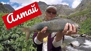 Лучшая Рыбалка в Горном Алтае летом Приглашаем Рыбаков Best Fishing in the Altai Mountains