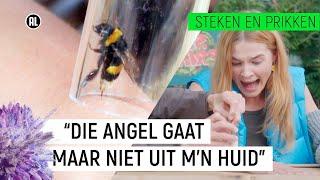 HOMMEL STEEKT EN LAAT NIET LOS? Steken en Prikken S2 #3  NPO Zapp