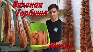 Как приготовить Вяленую соломку и юколу из Лосося горбуши + вкусный конкурс в конце Прими участие