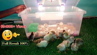 BEST INCUBATOR FOR CHICKEN EGGS WITH 100% EFFICIENCY  DIY HOMEMADE CHICKEN INCUBATOR  YOUCANDOTHIS