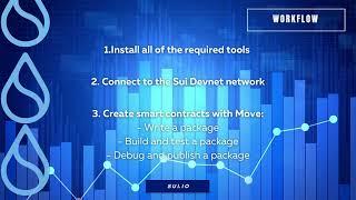 Building Sui  boundless platform  SUI testnet  SUI devnet  SUI INFO