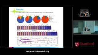 Decoding Brain Epigenome Maps with Broad H3K4me3 Signals - Aslihan Dincer