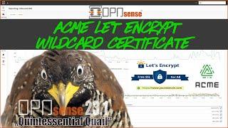 OPNsense - How to Config Lets Encrypt Wildcard Certificate using ACME Client