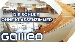 Selbstständig Probleme lösen durch die Schule ohne Klassenzimmer  Galileo  ProSieben