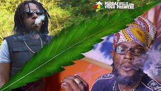 Mad Sam feat. Jah Mason - Wrap Up A Spliff Official Video 2021