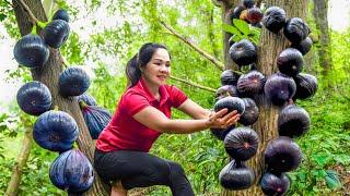 Harvesting Giant VENOM FIGS Go to Market Sell  2 years living in the forest  An Phú Daily Life