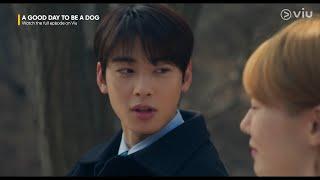 The End of the Curse  A Good Day to be a Dog TagDub EP 27  Viu