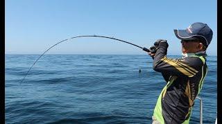 How to Setup your Vertical Jigging System Phenix Titan Hybrid Jigging Rods Slow Pitch and Long Fall