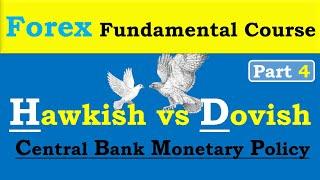 Hawkish and Dovish in forex  Hawkish vs Dovish in hindi  Meerfx