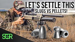 Is it EVEN Worth It to SHOOT SLUGS in BUDGET Airguns???