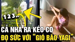 Thấy bão to cây sắp BỊ QUẬT NGÃ cả nhà liền nhanh trí CHƠI TRÒ KÉO CO và cái kết  Tin Nhanh 3 Phút