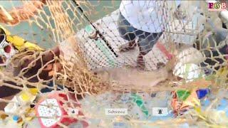 Amazing big fish hook by fishing video catching the big rohu fish