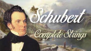 Schubert Complete String Quartets