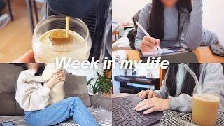 a realistic Week in my life  when I eat breakfast everyday cat shelter work  slice of life vlog