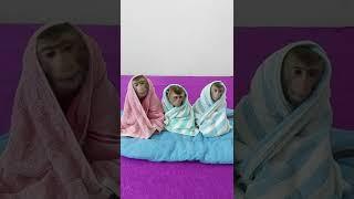 Three Adorable Sit On Bed Cover Towel Waiting To Sleep #Shorts
