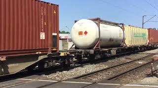 Black Vectron MRCE With Container Train at Venlo the Netherlands May 26-2023 Railfan Video 