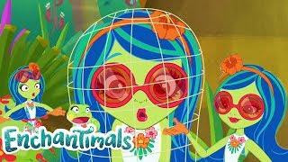 The Best Of Tamika The Tree Frog Enchantimals  Tales From Everwilde Junglewood