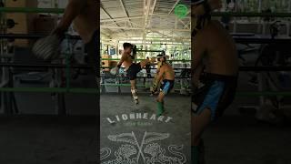 Muay Thai Tricks - Setting up the Jumping Kick to the Head with Kru First