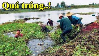 Vây bắt cá đồng nằm trong cỏ mùa nước rút  trúng to bầy cá  THÚ VUI MIỀN TÂY. 04