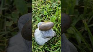 Медитация на камни