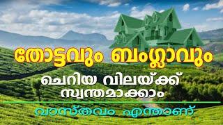 തോട്ടഭൂമി വാങ്ങുമ്പോൾ ശ്രദ്ധിക്കേണ്ടത്  THINK BEFORE BUYING PLANTATIONS  KERALA LAND REFORMS