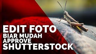 Cara Edit Foto Biar Approve Shutterstock  Edit Simpel Dan Buat Preset Foto Shutterstock