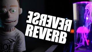 Ableton Tutorial Reverb Reverse Effect