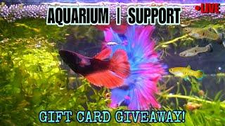 Exploring Beautiful Rare & Even New Fish Species + Gift Card GIVEAWAY