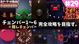 【エンターザガンジョン攻略】隠しチェンバーまで完全攻略を目指す。【enter the gungeon】