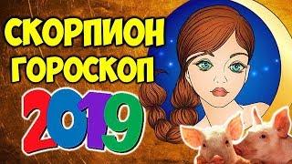 СКОРПИОН САМЫЙ ТОЧНЫЙ ГОРОСКОП НА 2019 ГОД 