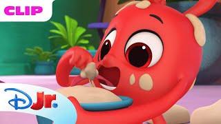 Morphle and the Magic Pets The Cake Mistake Episode Clip  @disneyjr x @Morphle