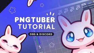 PNGTUBER TUTORIAL  How to set everything up  OBS & Discord