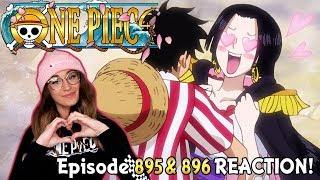 BOA X LUFFY One Piece Episode 895 & 896 REACTION