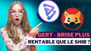 BITGERT Brise Token  Faut-il investir ou pas ?