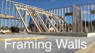 Building My Own Home  Framing Up walls