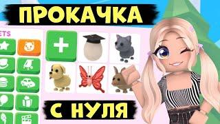 ПРОКАЧКА С НУЛЯ В АДОПТ МИ КАК ПРОКАЧАТЬСЯ В АДОПТ МИ ОТ НУБА ДО ПРО?  Adopt me Roblox