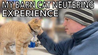 5 Things I Learned Neutering Our Barn Cats