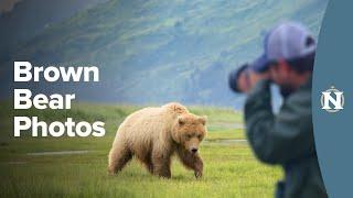 How to Photograph Bears in Lake Clark National Park Alaska with Wildlife Photographer Mike Hillman