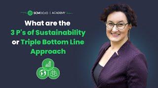 What are the  3 Ps of Sustainability or the Triple Bottom Line Approach?