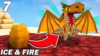 Jadopte mon premier bébé dragon de feu   Minecraft Ice & Fire EP7