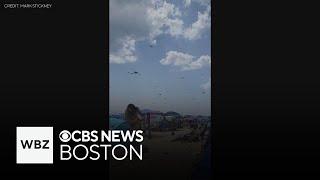 Witness says hundreds of thousands of dragonflies swarmed Rhode Island beach