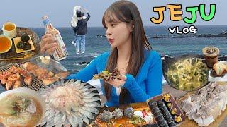 여행vlog 급 제주여행에 혼여행 먹방가자 _ 다금바리+시래기김밥+제주물식당+보말칼국수+홀츠카페+첫 갈치조림+포토존추천