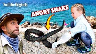 ANGRY SNAKE Bites Fearless Girl