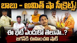 Chandrababu Delhi Tour Secrets బాబు - అమిత్ షా సీక్రెట్స్ భేటీ ఎందుకో తెలుసా? జగన్ కి  షాక్  PINN