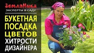 Букетная посадка цветов. Петуния и годеция.