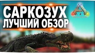 Саркозух Sarcosuchus в АРК. Лучший обзор приручение разведение и способности  в ark